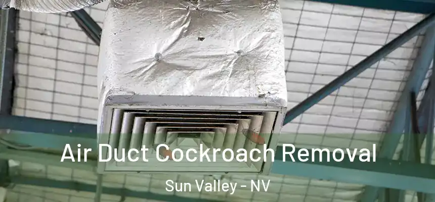  Air Duct Cockroach Removal Sun Valley - NV