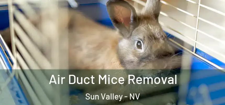 Air Duct Mice Removal Sun Valley - NV