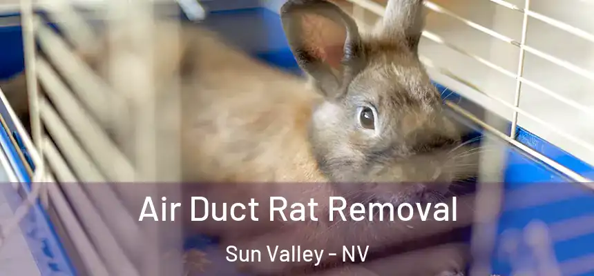  Air Duct Rat Removal Sun Valley - NV