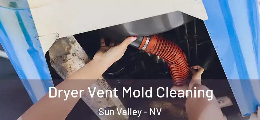  Dryer Vent Mold Cleaning Sun Valley - NV