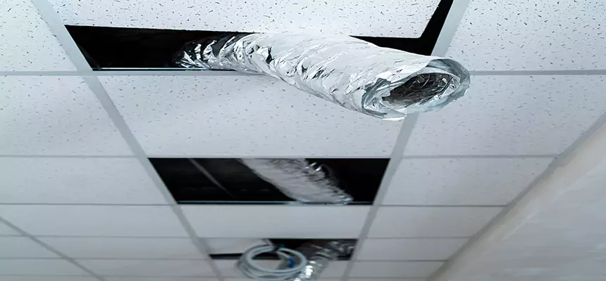 Affordable HVAC Sanitizing After Pest Removal in Sun Valley