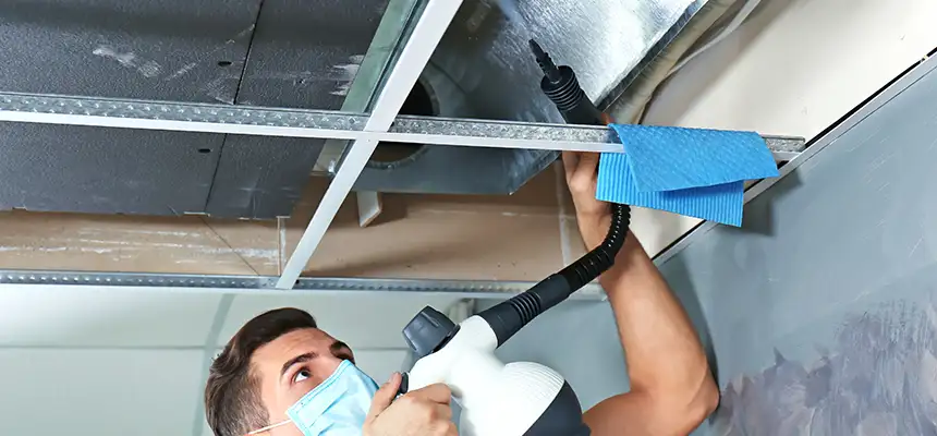 Our Air Duct Rodent Removal Services in Sun Valley, NV