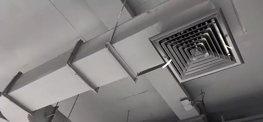 Restorative Allergy Relief Vent Cleaning – Coil, Blower & Housing Detail in Sun Valley