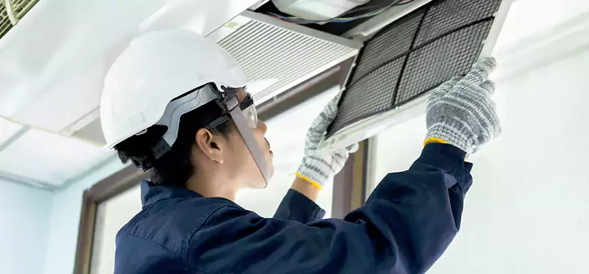 Our Mold & Mildew Removal from Air Ducts Services in Sun Valley, NV