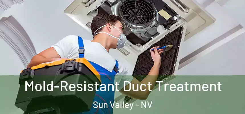 Mold-Resistant Duct Treatment Sun Valley - NV