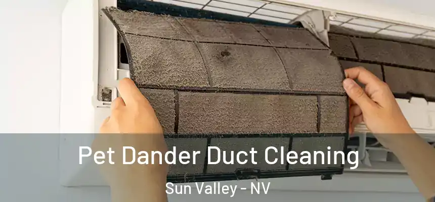  Pet Dander Duct Cleaning Sun Valley - NV