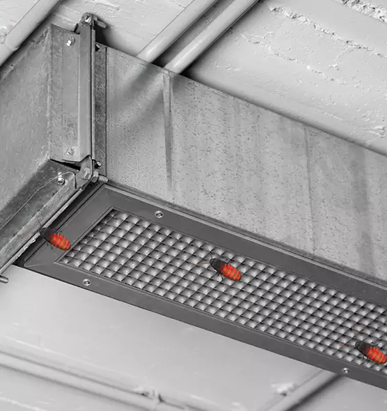 About Air Duct Cockroach Removal in Sun Valley, NV