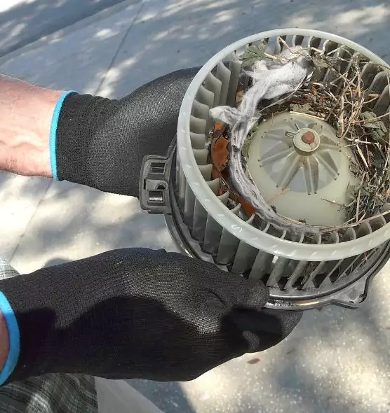 About Air Duct Mice Removal in Sun Valley, NV