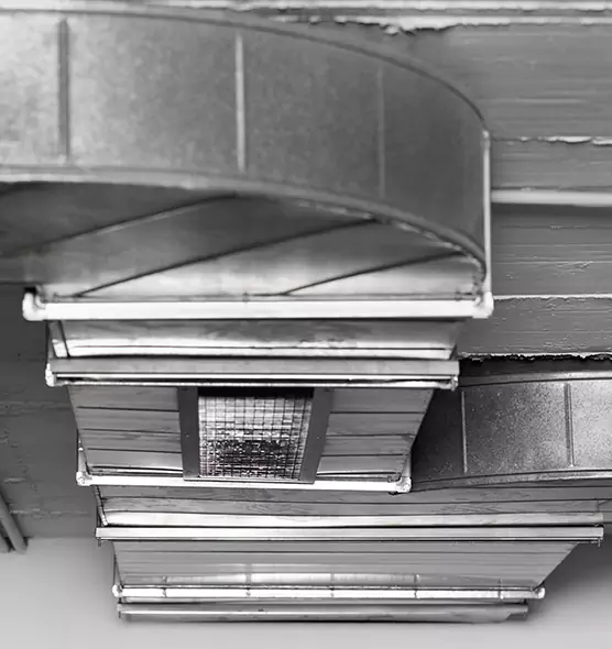 Professional Air Duct Pest Removal in Sun Valley, NV