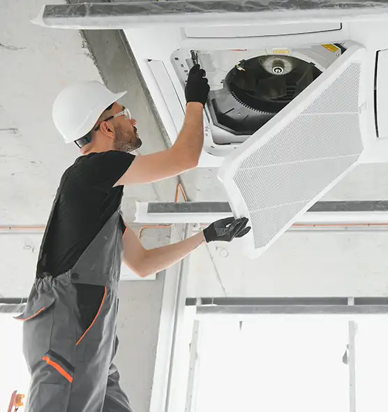 About Air Duct Rodent Removal in Sun Valley, NV