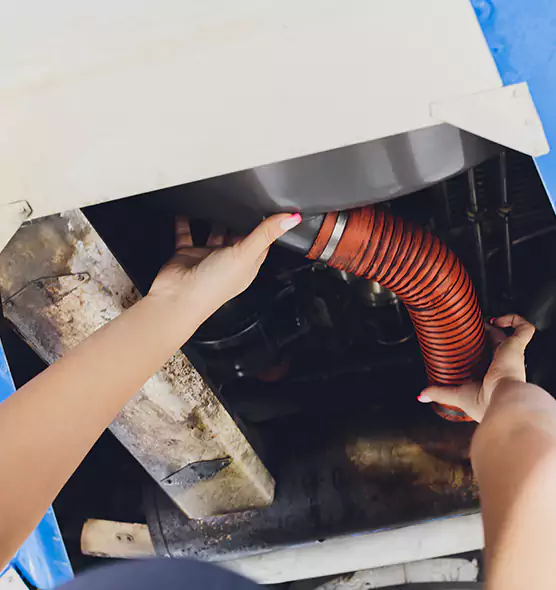 About Air Duct Virus Disinfection in Sun Valley, NV